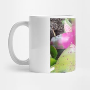 Fairy Pool Mug